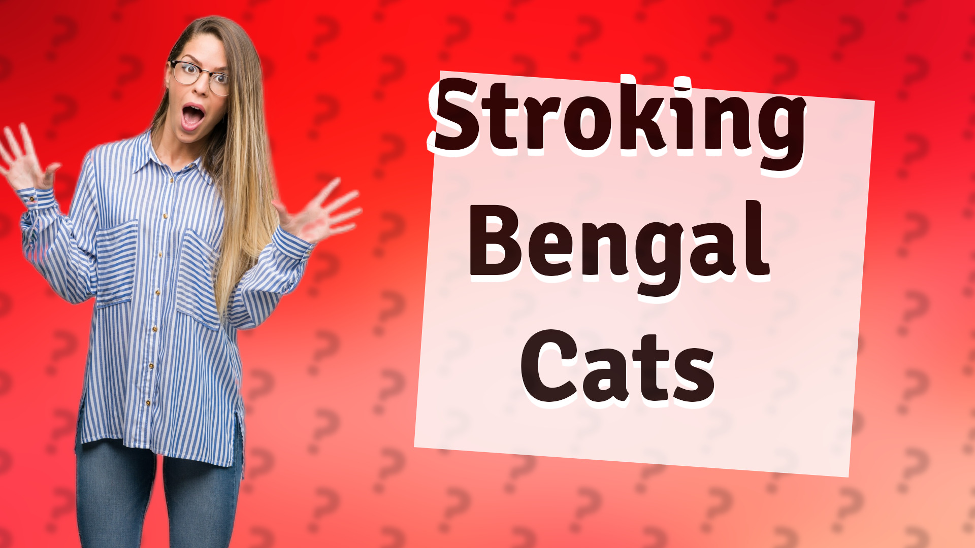 Stroking Bengal Cats