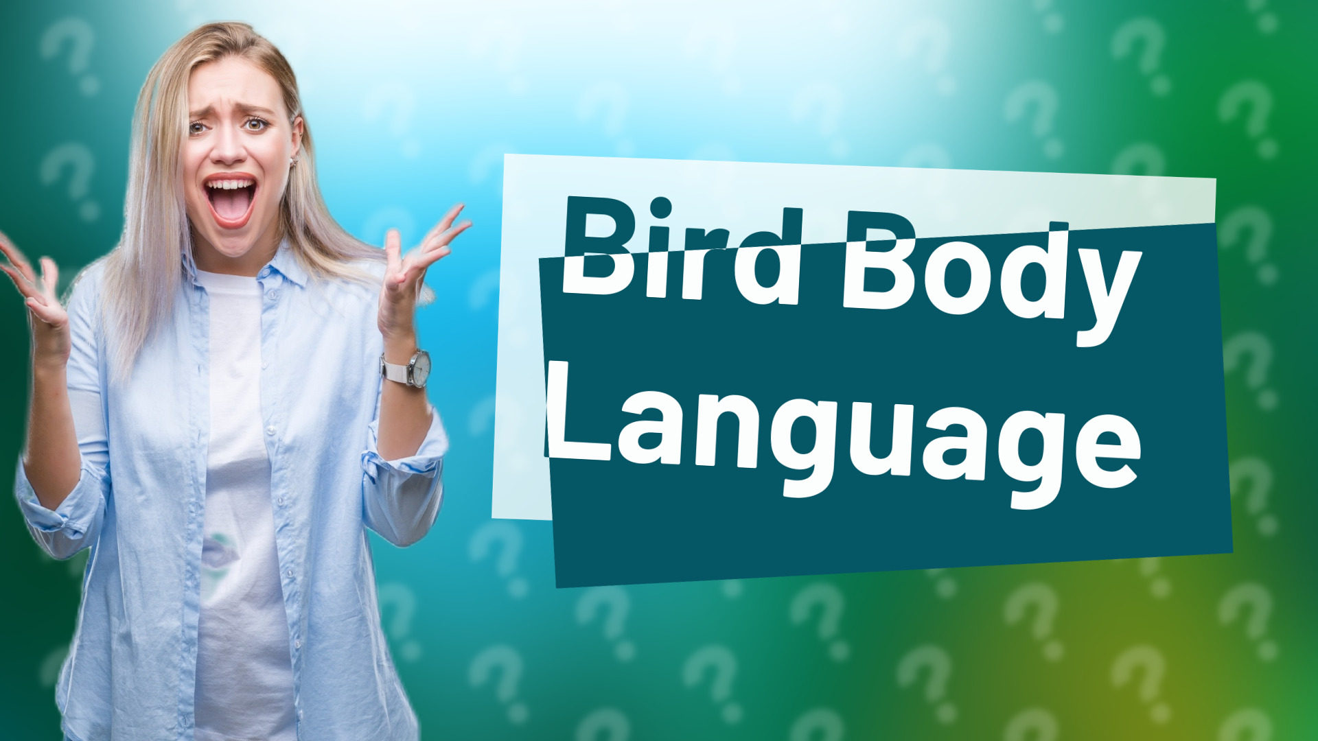 Bird Body Language