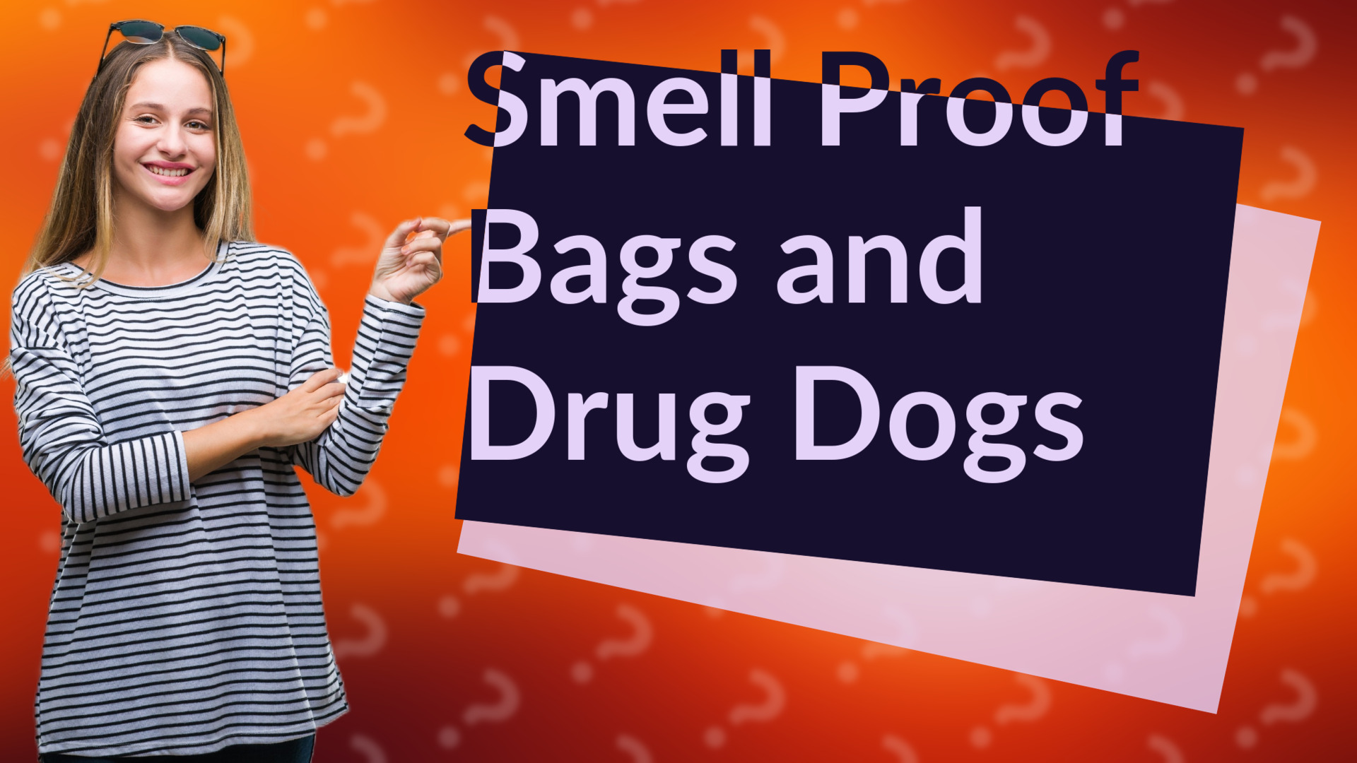 Smell Proof Bags and Drug Dogs
