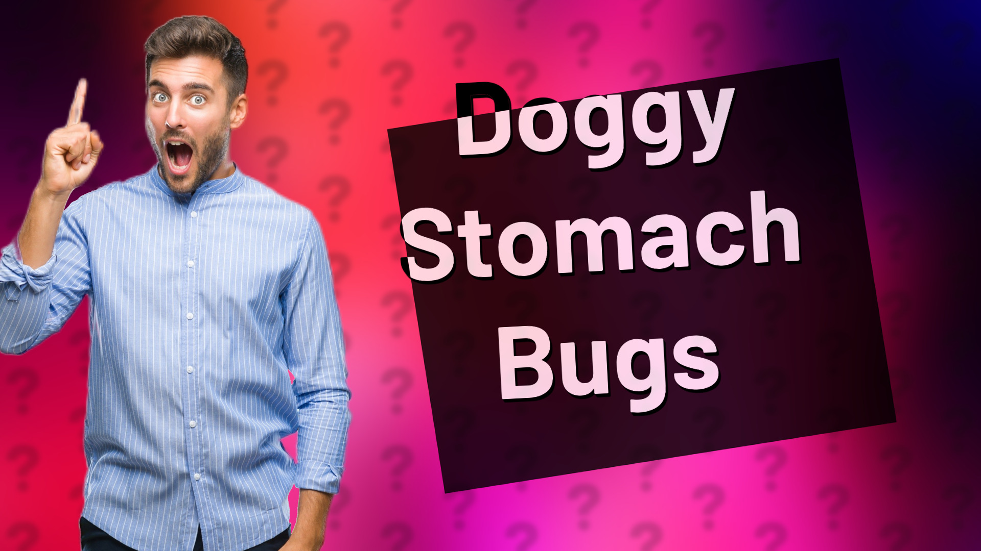 Doggy Stomach Bugs