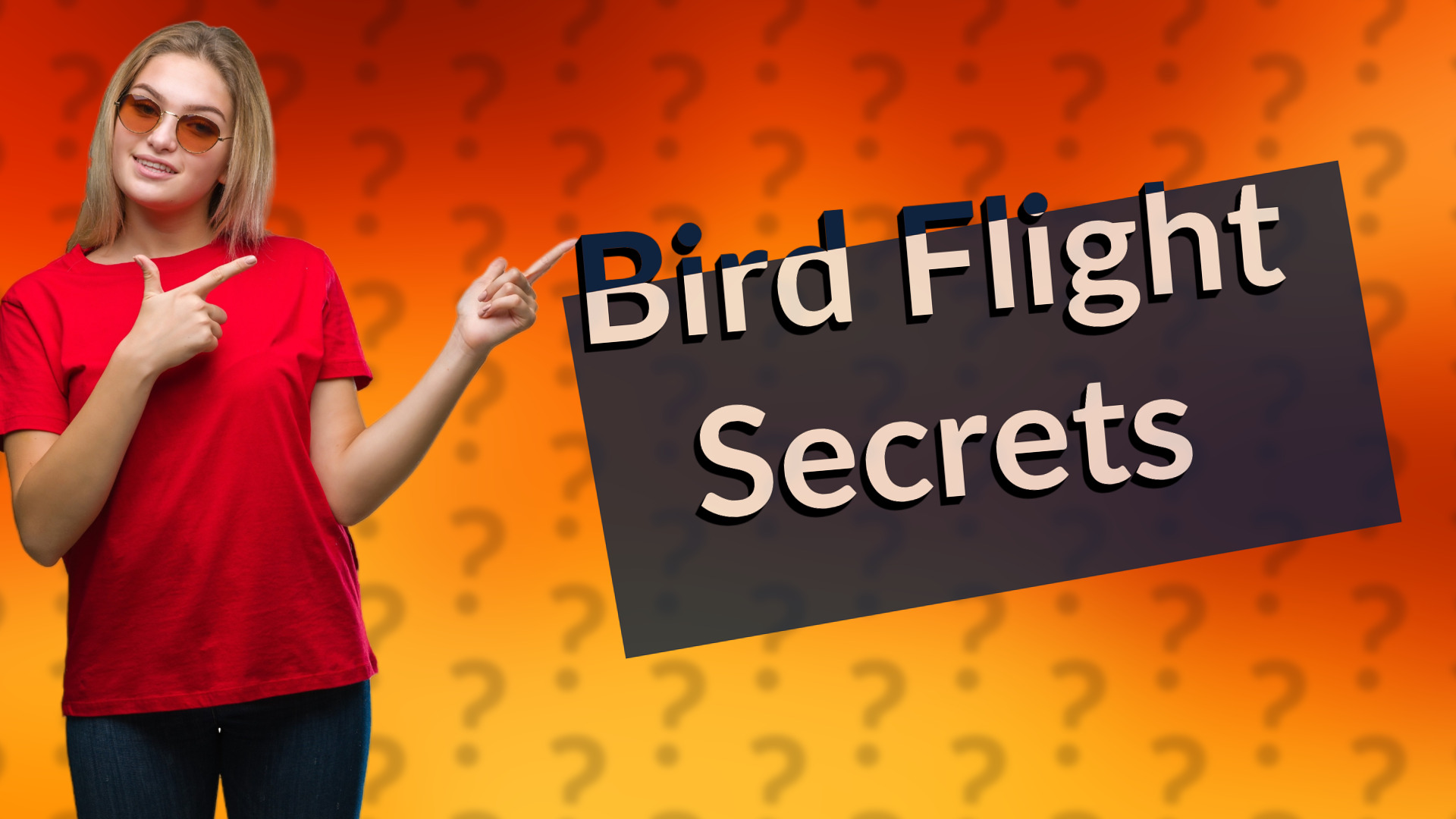 Bird Flight Secrets
