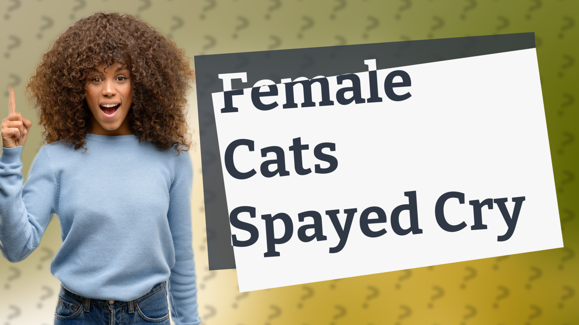 Female Cats Spayed Cry
