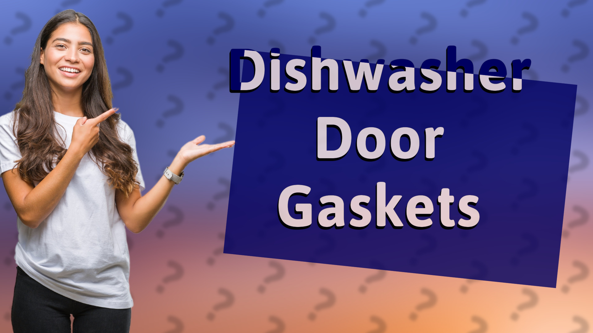 Dishwasher Door Gaskets