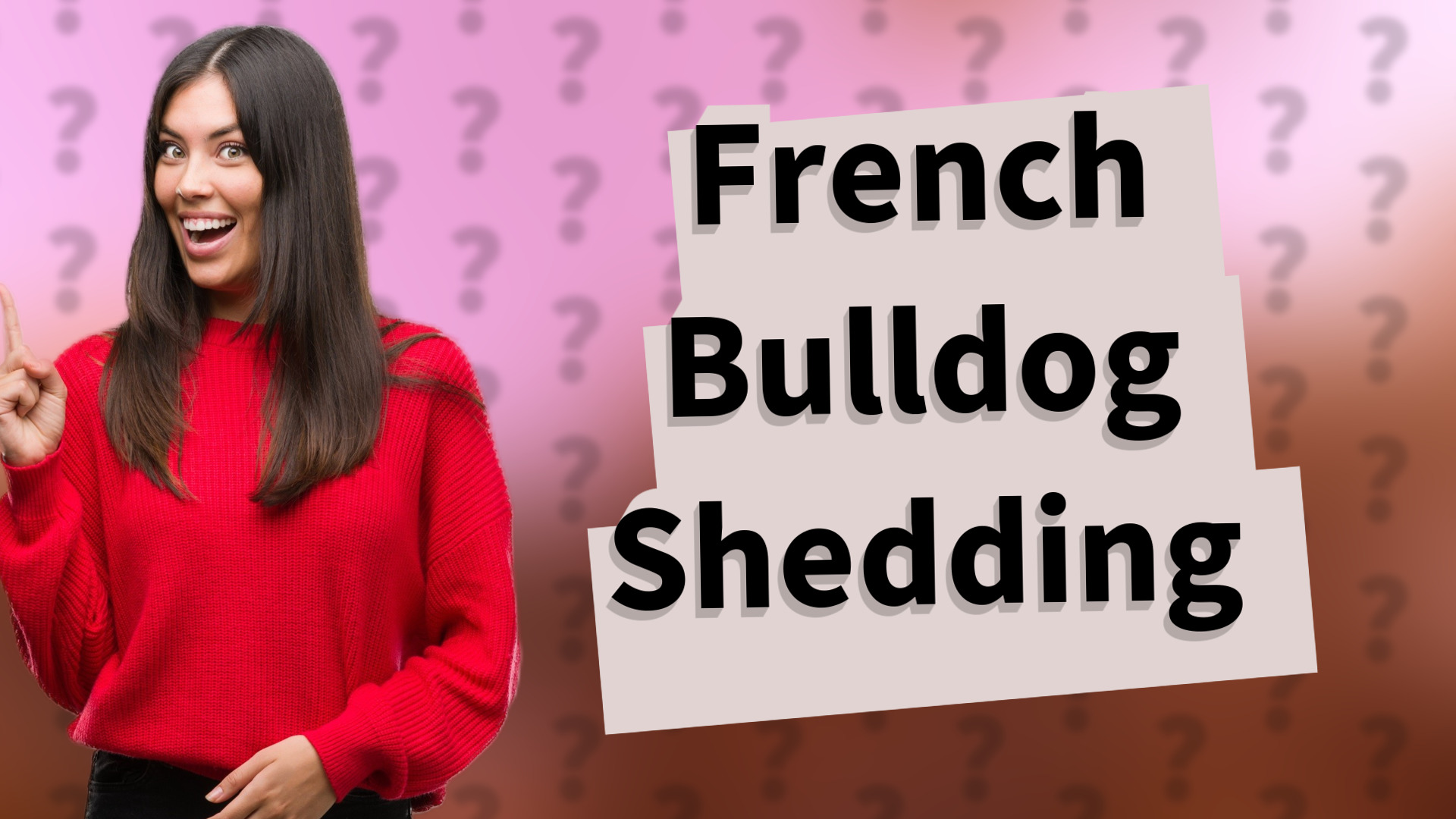 French Bulldog Shedding