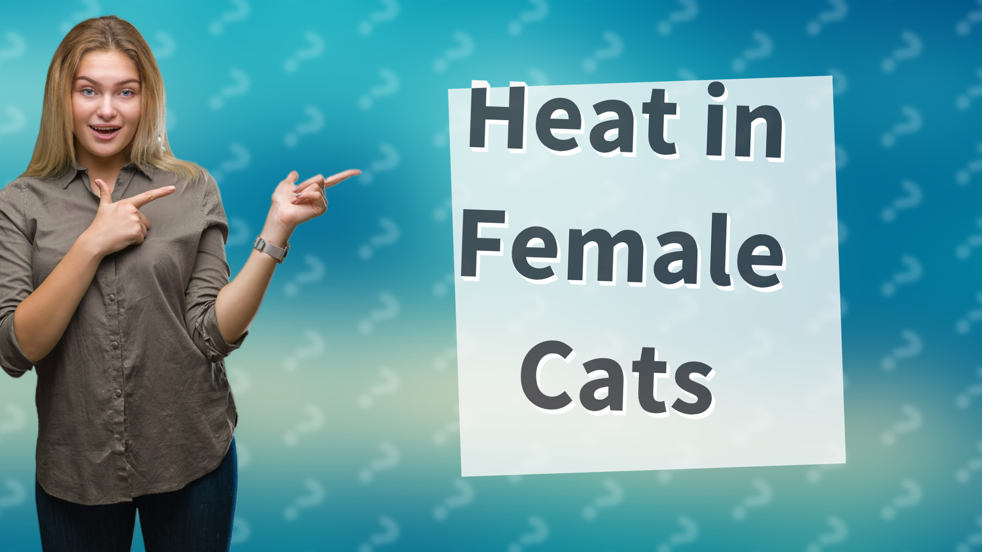 Heat in Female Cats