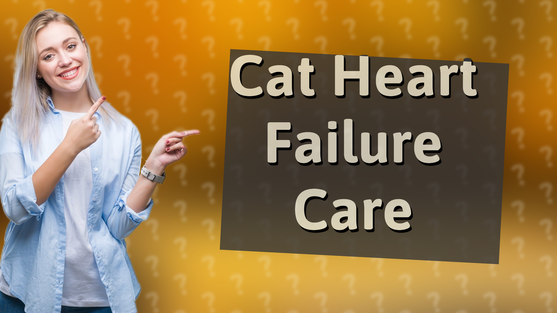 Cat Heart Failure Care