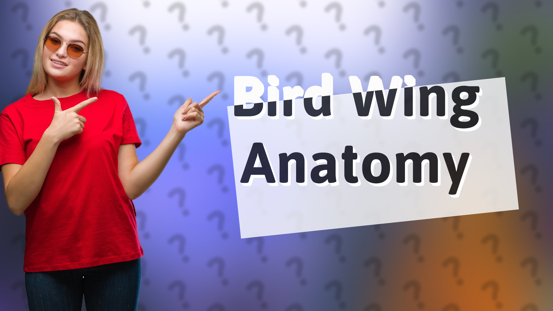 Bird Wing Anatomy