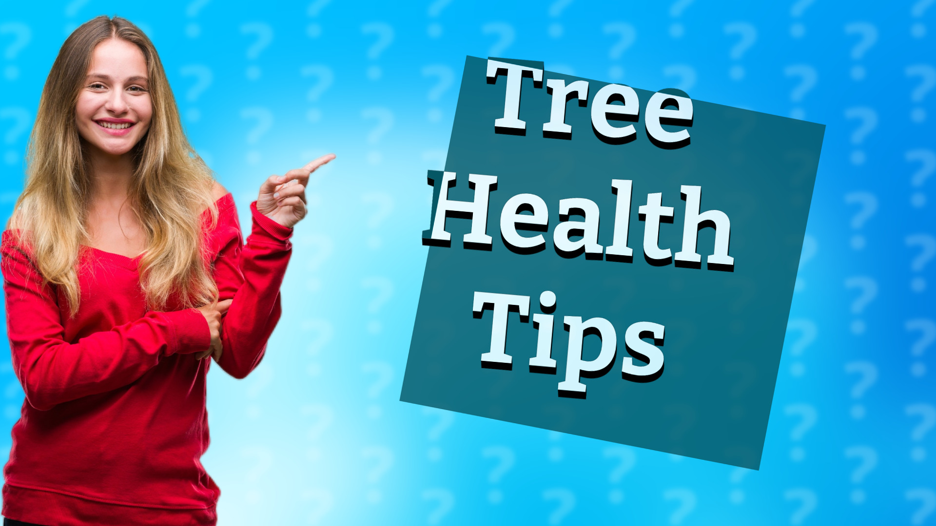 Tree Health Tips