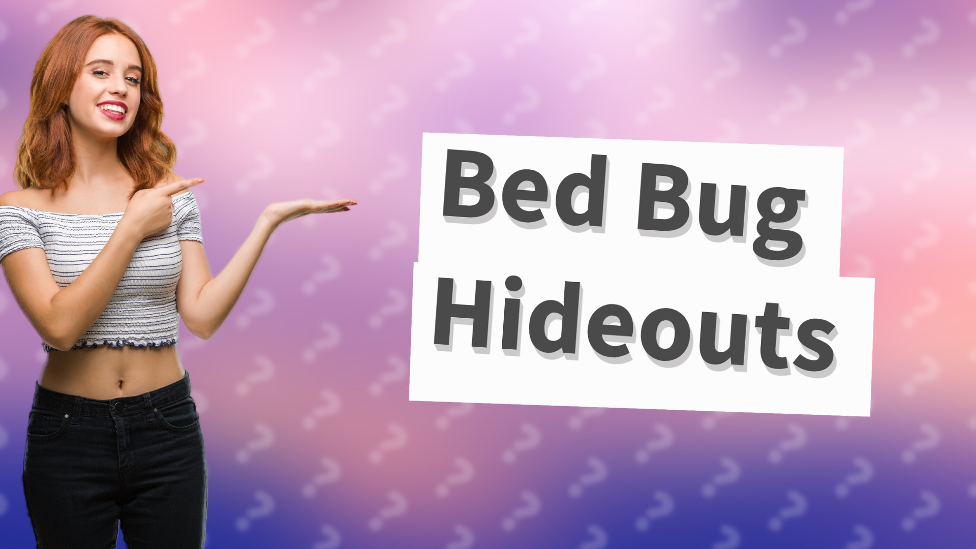 Bed Bug Hideouts