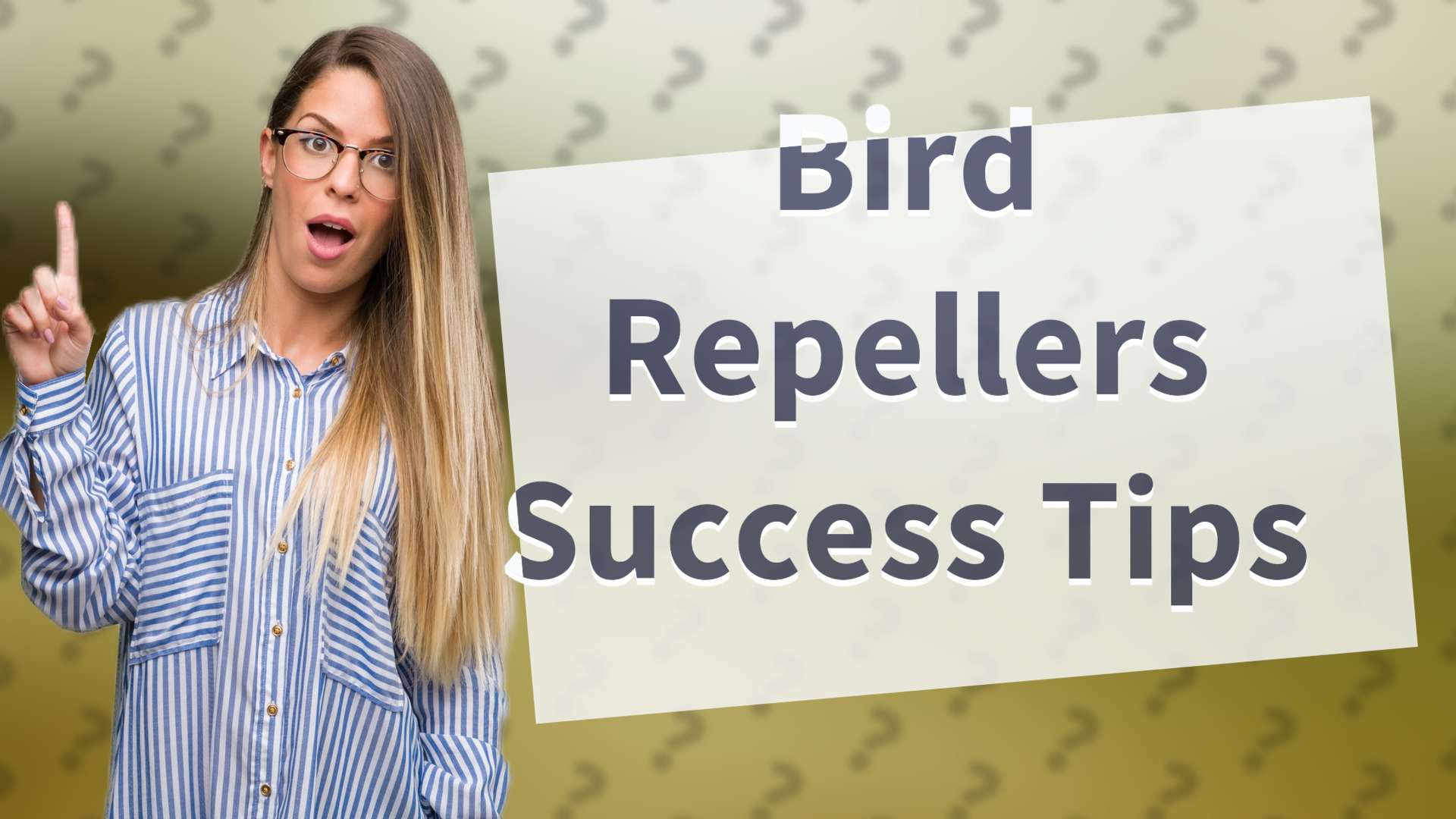 Bird Repellers Success Tips