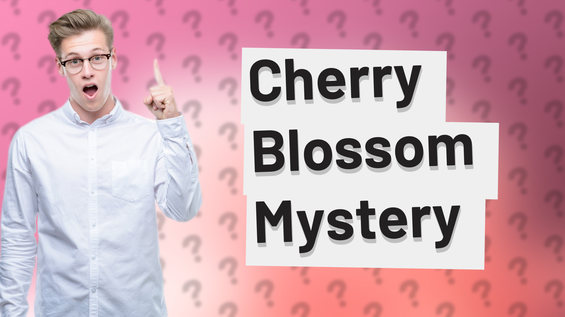 Cherry Blossom Mystery
