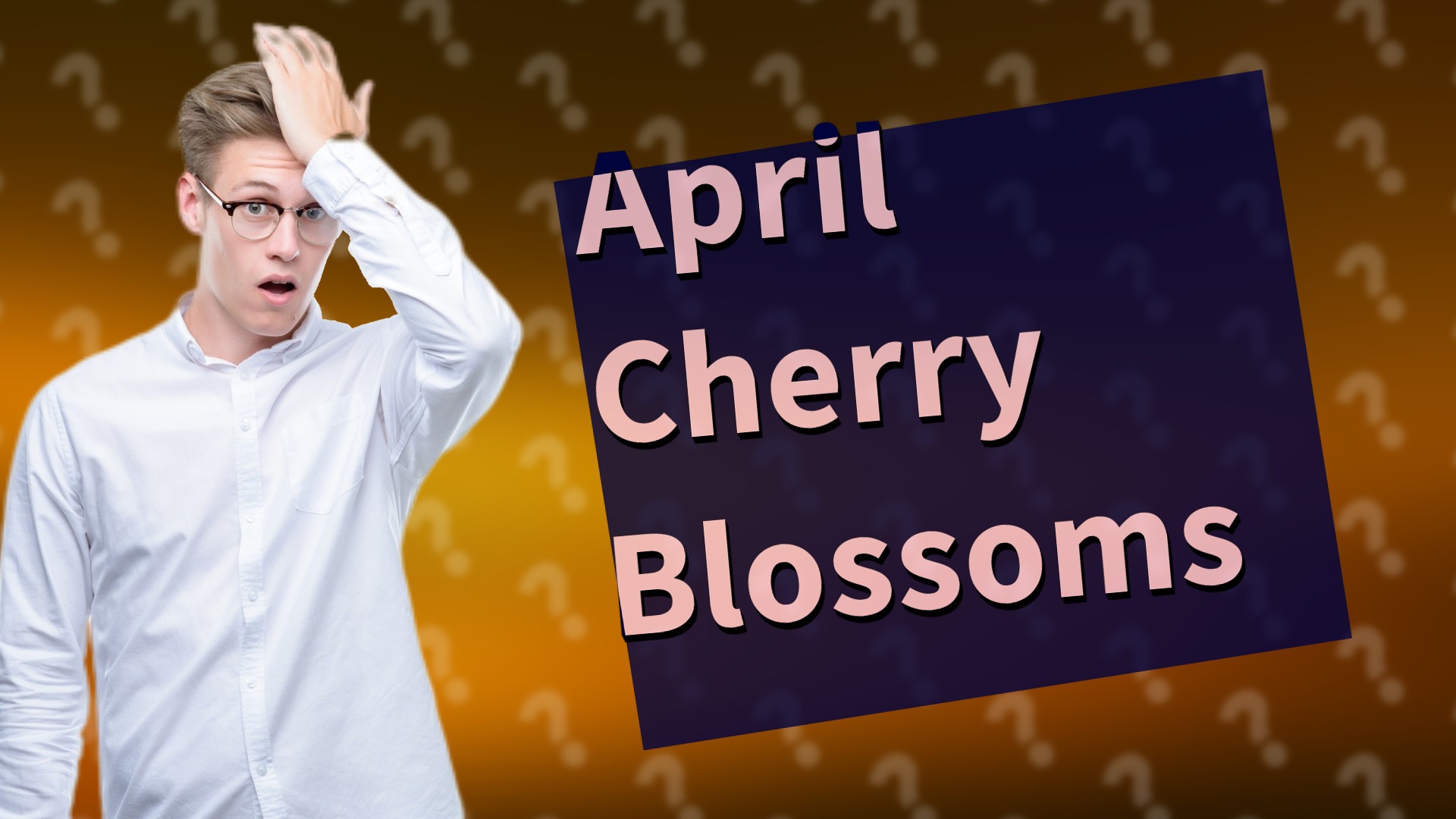 April Cherry Blossoms