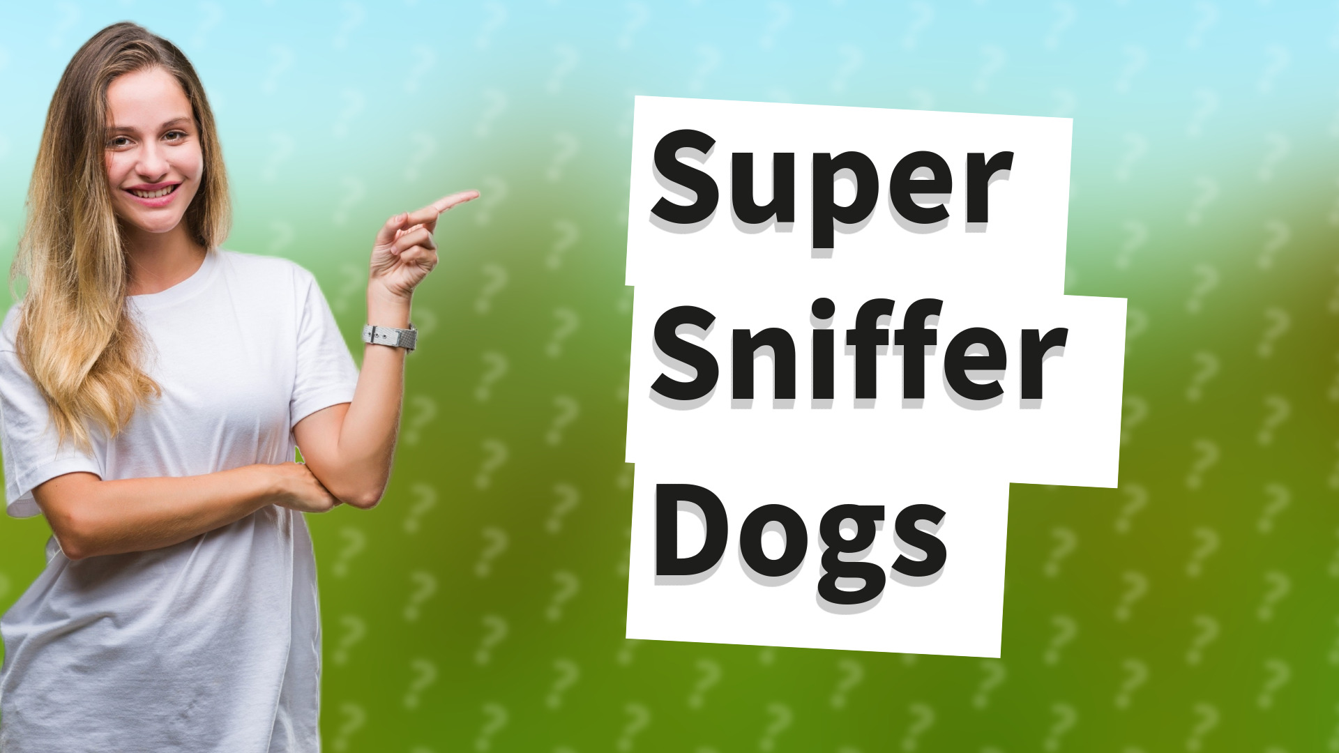 Super Sniffer Dogs