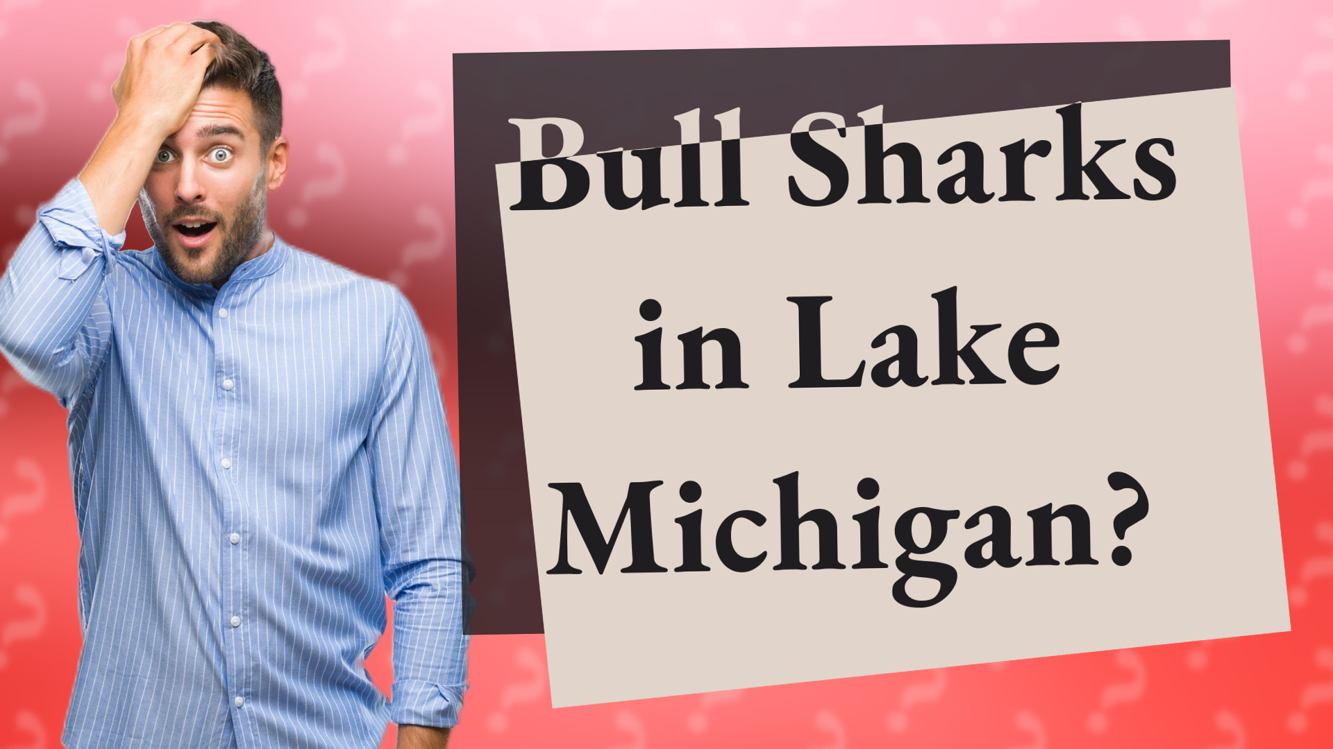 Bull Sharks in Lake Michigan?