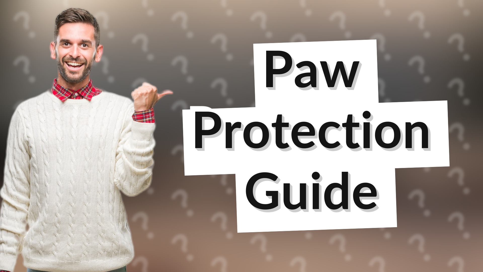 Paw Protection Guide