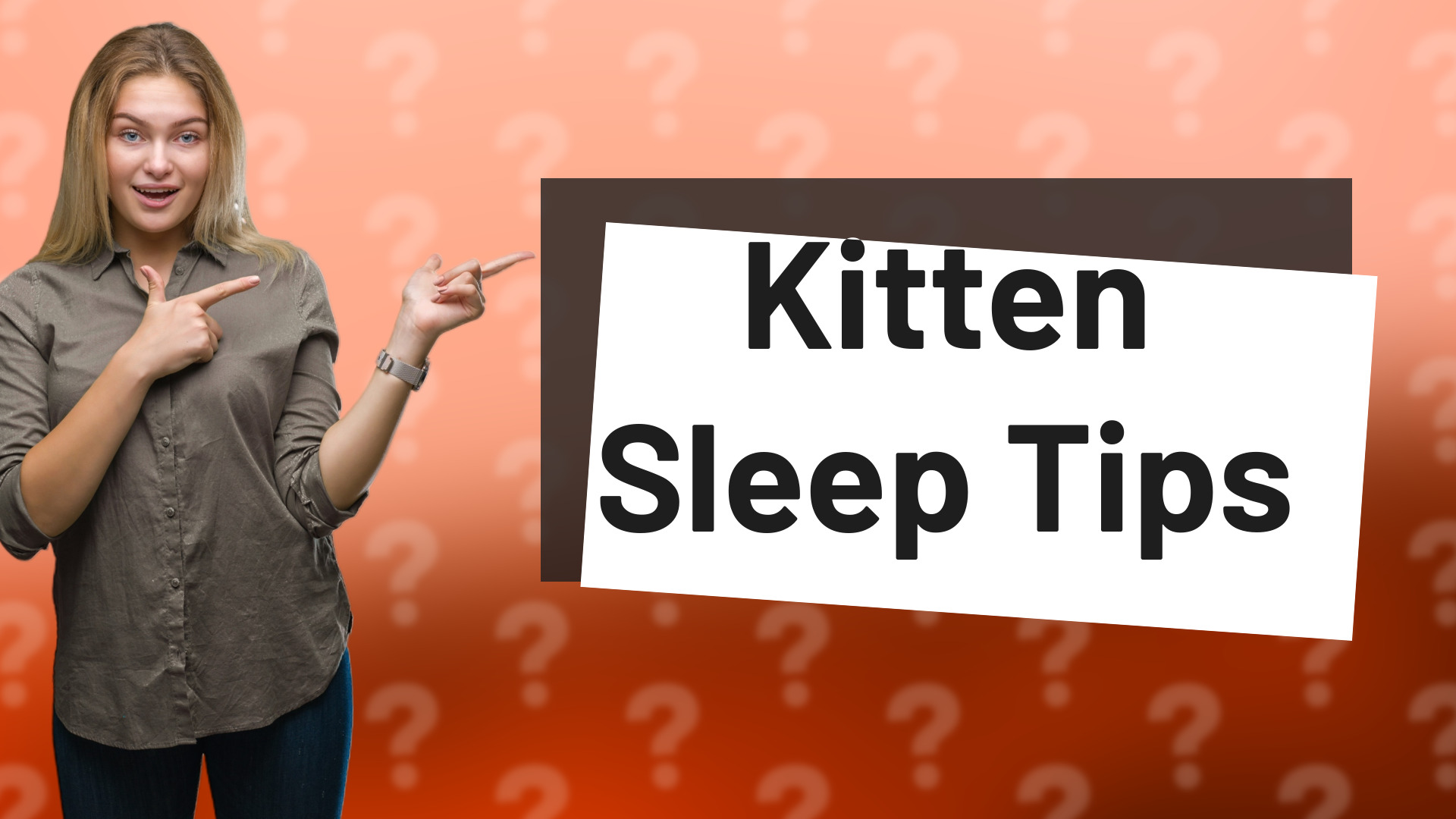 Kitten Sleep Tips