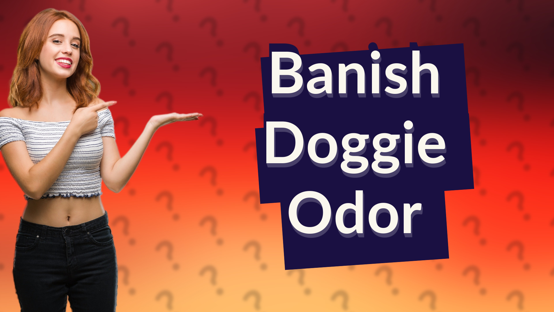 Banish Doggie Odor