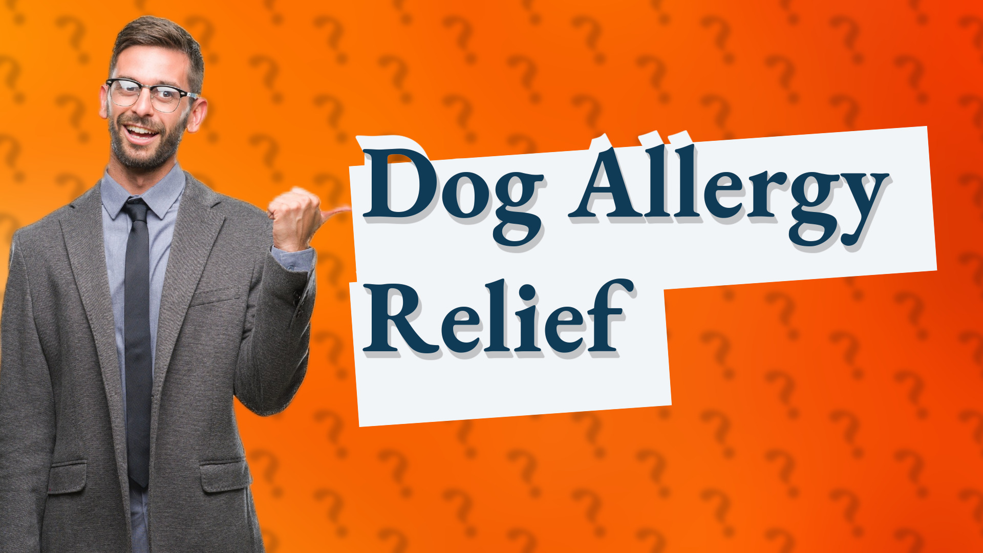 Dog Allergy Relief