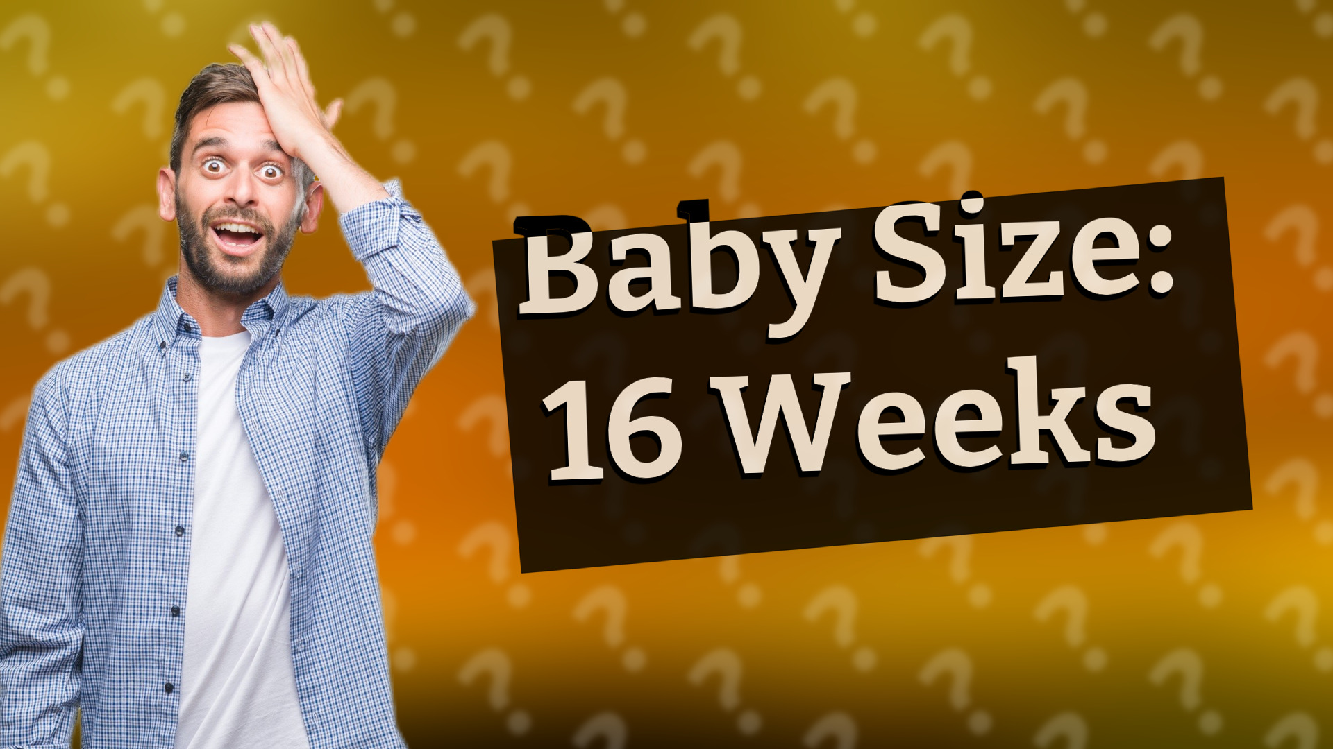 Baby Size: 16 Weeks