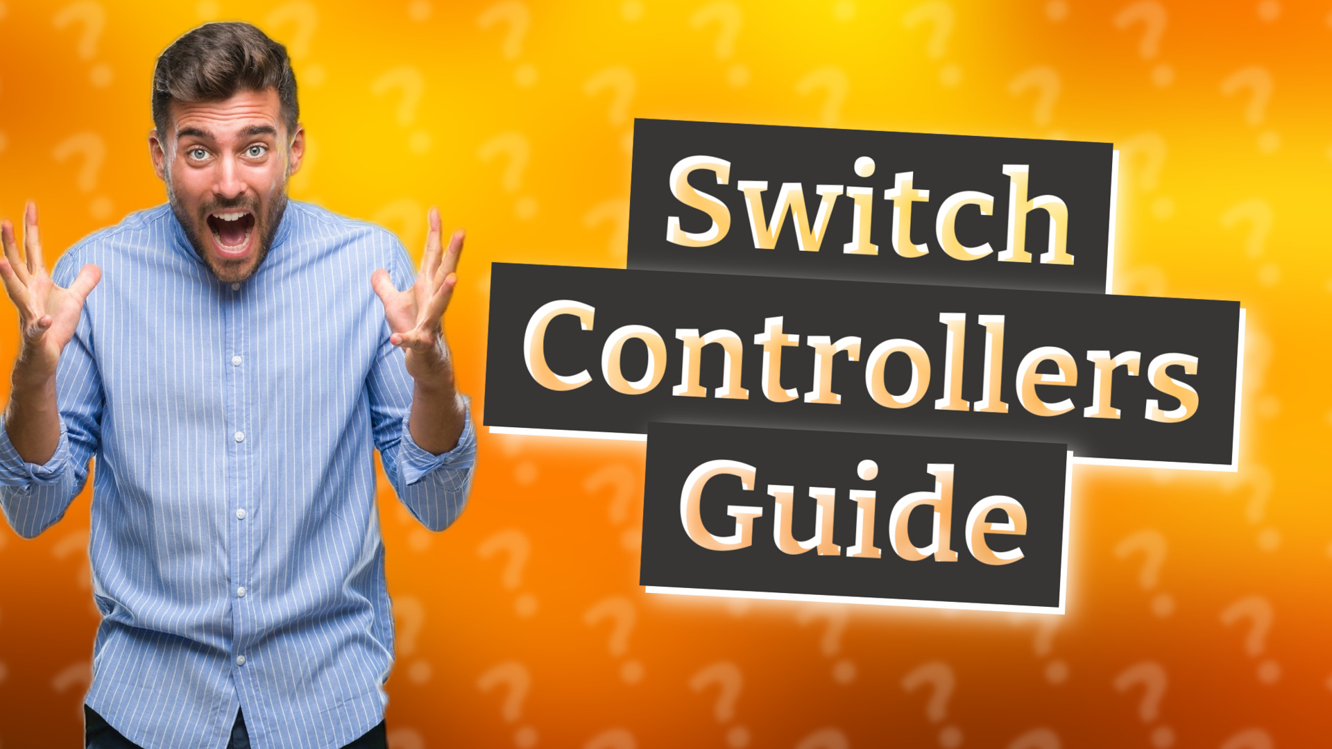 Switch Controllers Guide