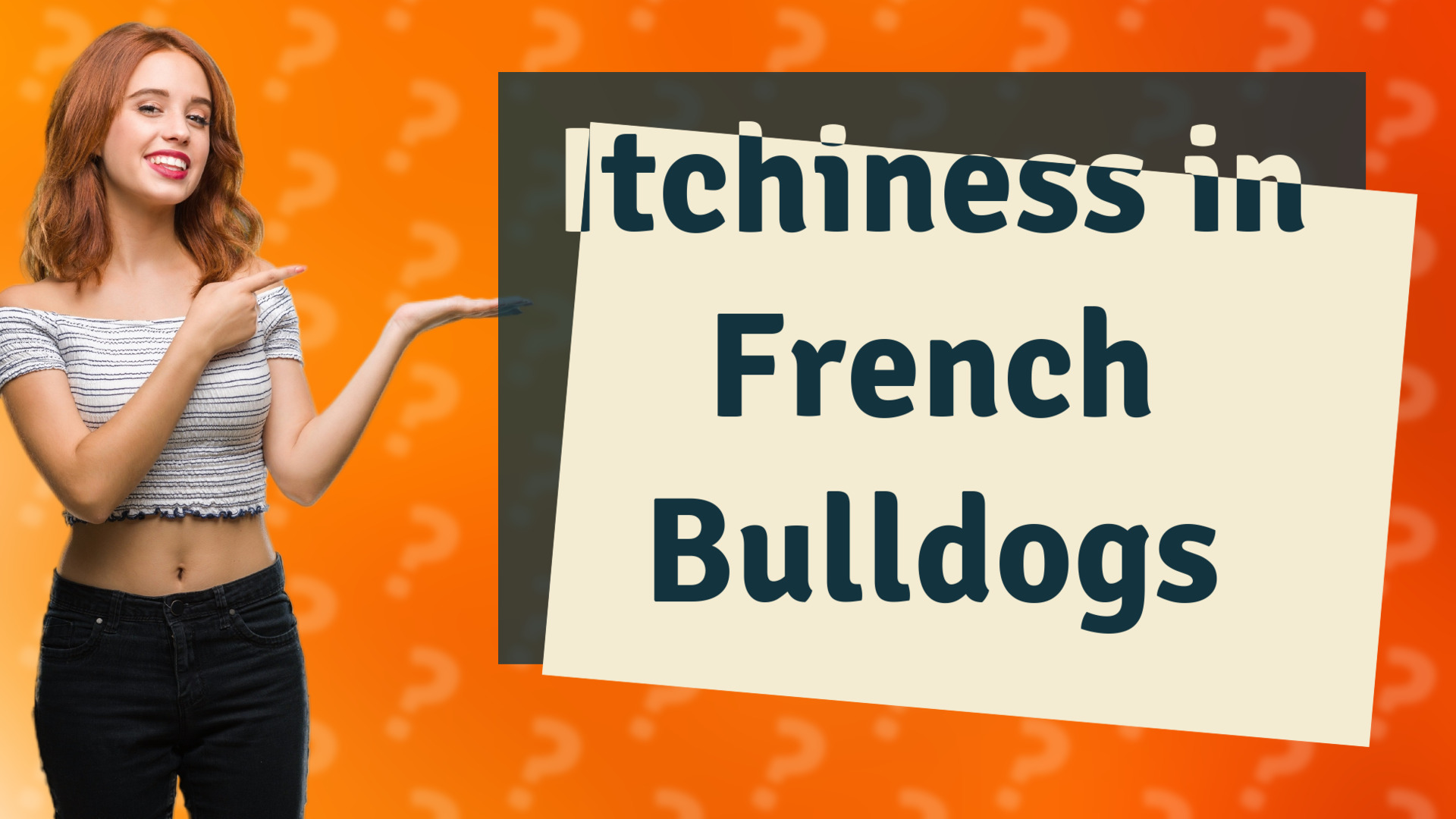 Itchiness in French Bulldogs
