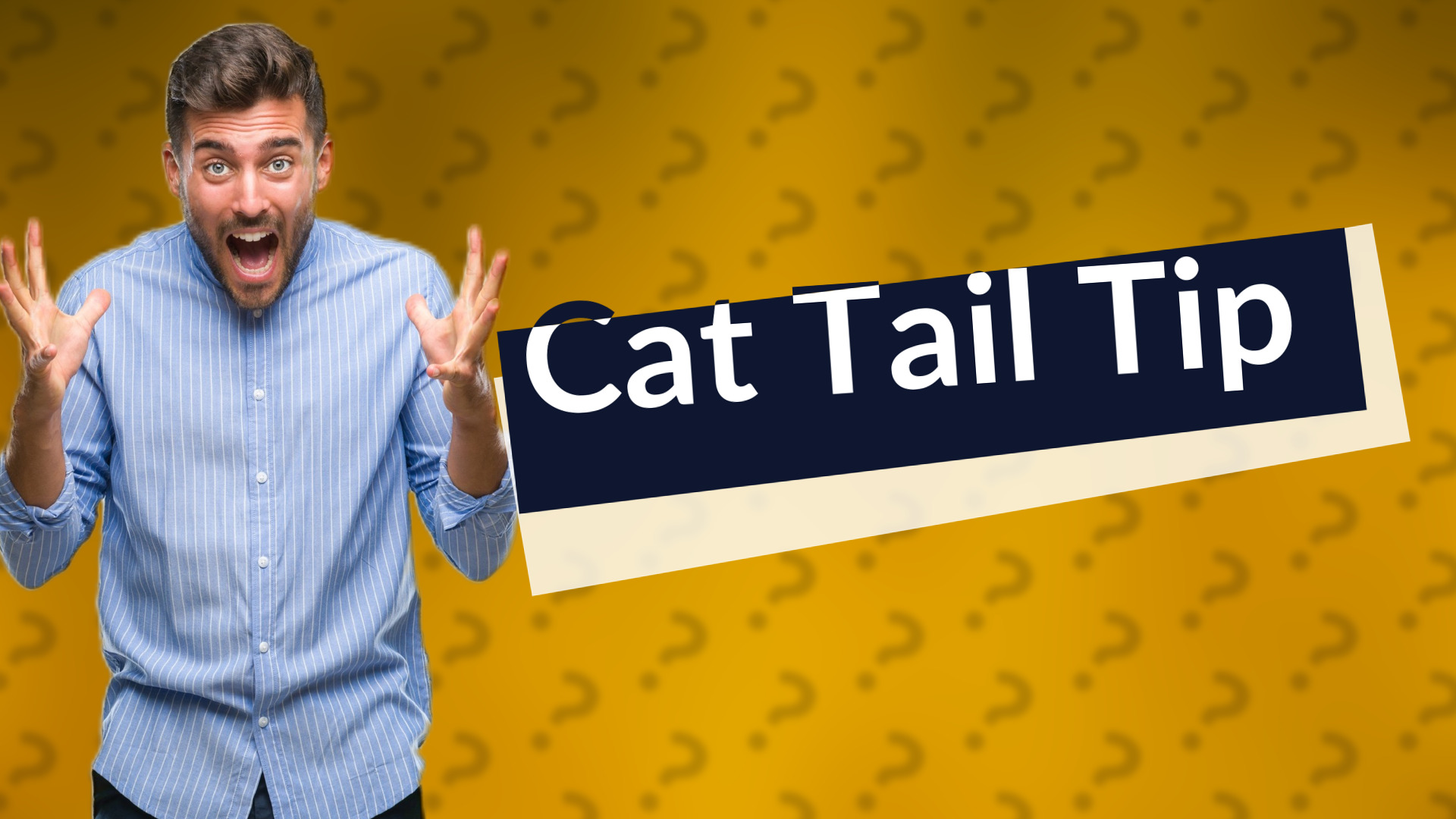 Cat Tail Tip