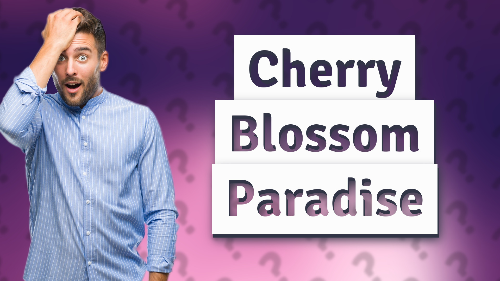 Cherry Blossom Paradise