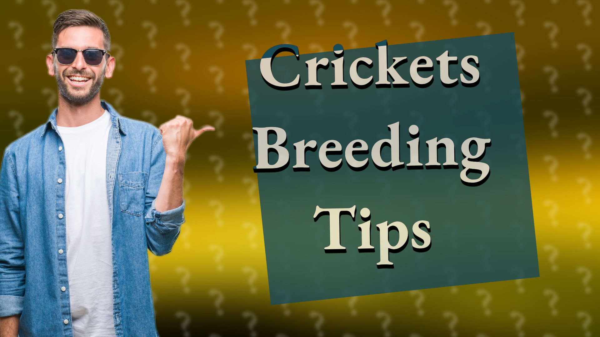Crickets Breeding Tips