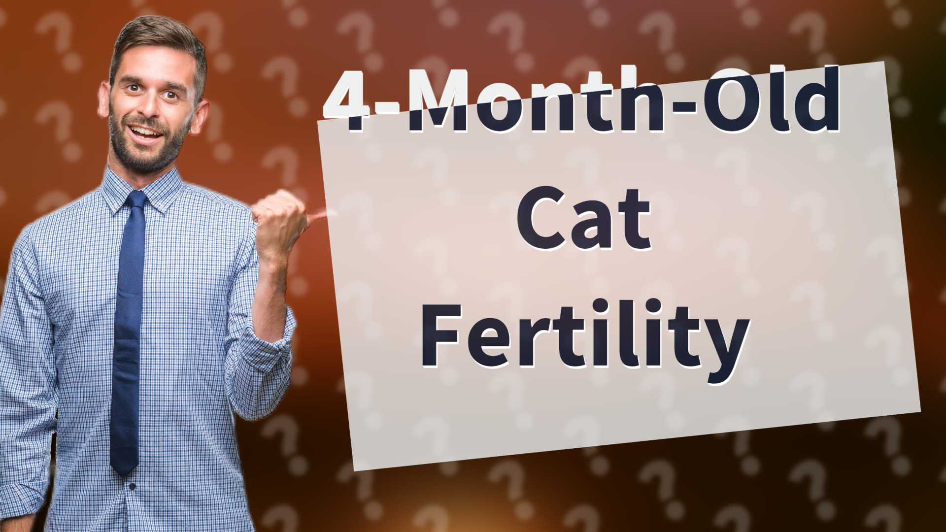 4-Month-Old Cat Fertility