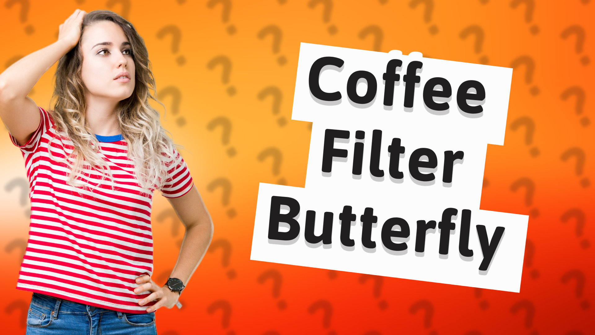 Coffee Filter Butterfly