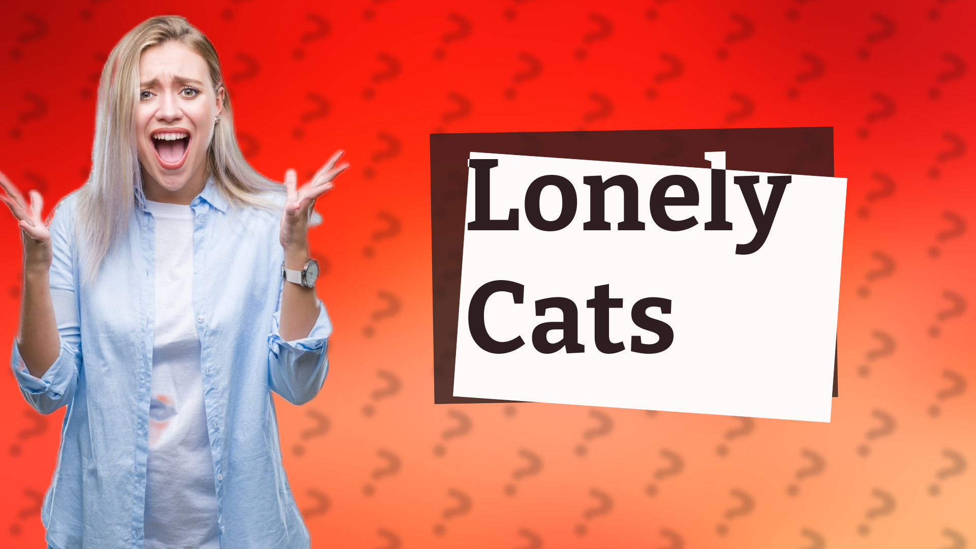 Lonely Cats
