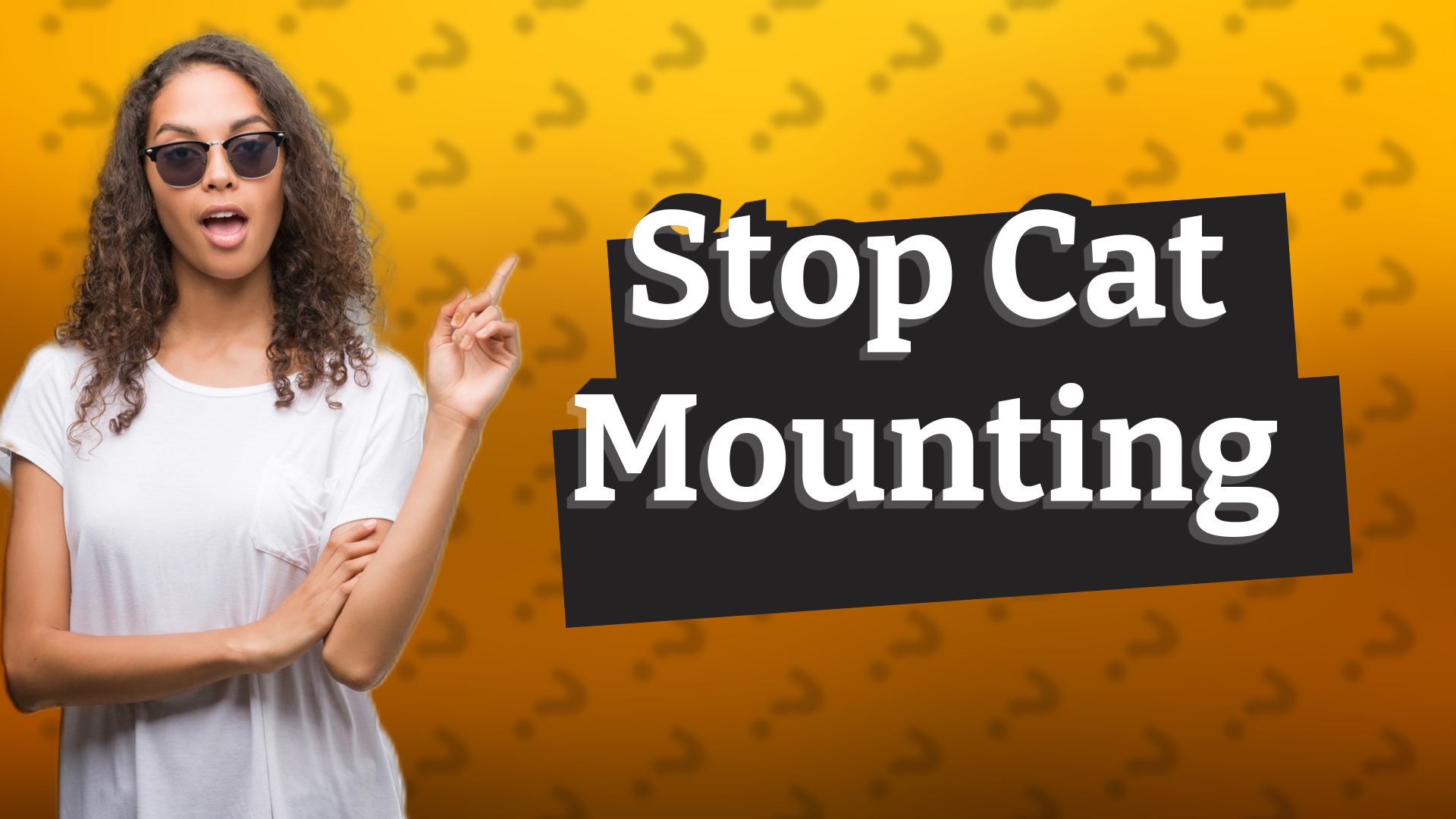 Stop Cat Mounting
