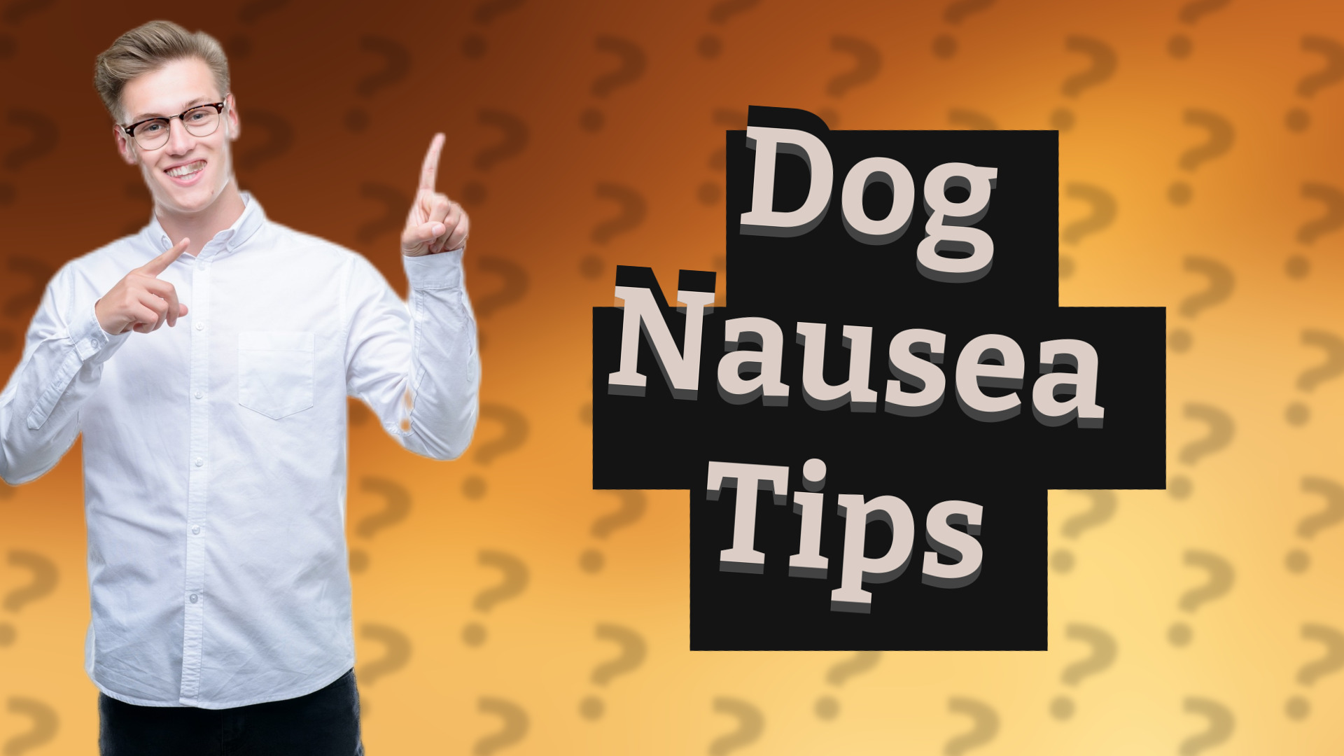 Dog Nausea Tips