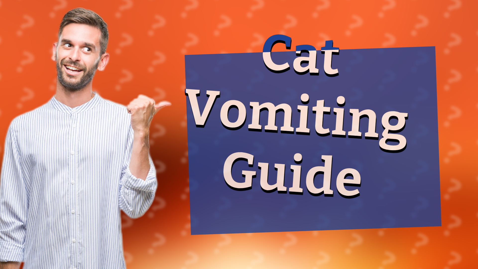 Cat Vomiting Guide