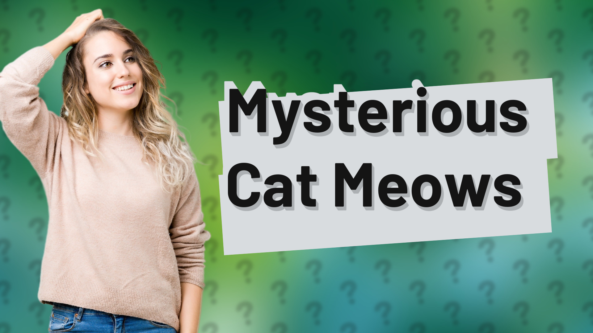Mysterious Cat Meows