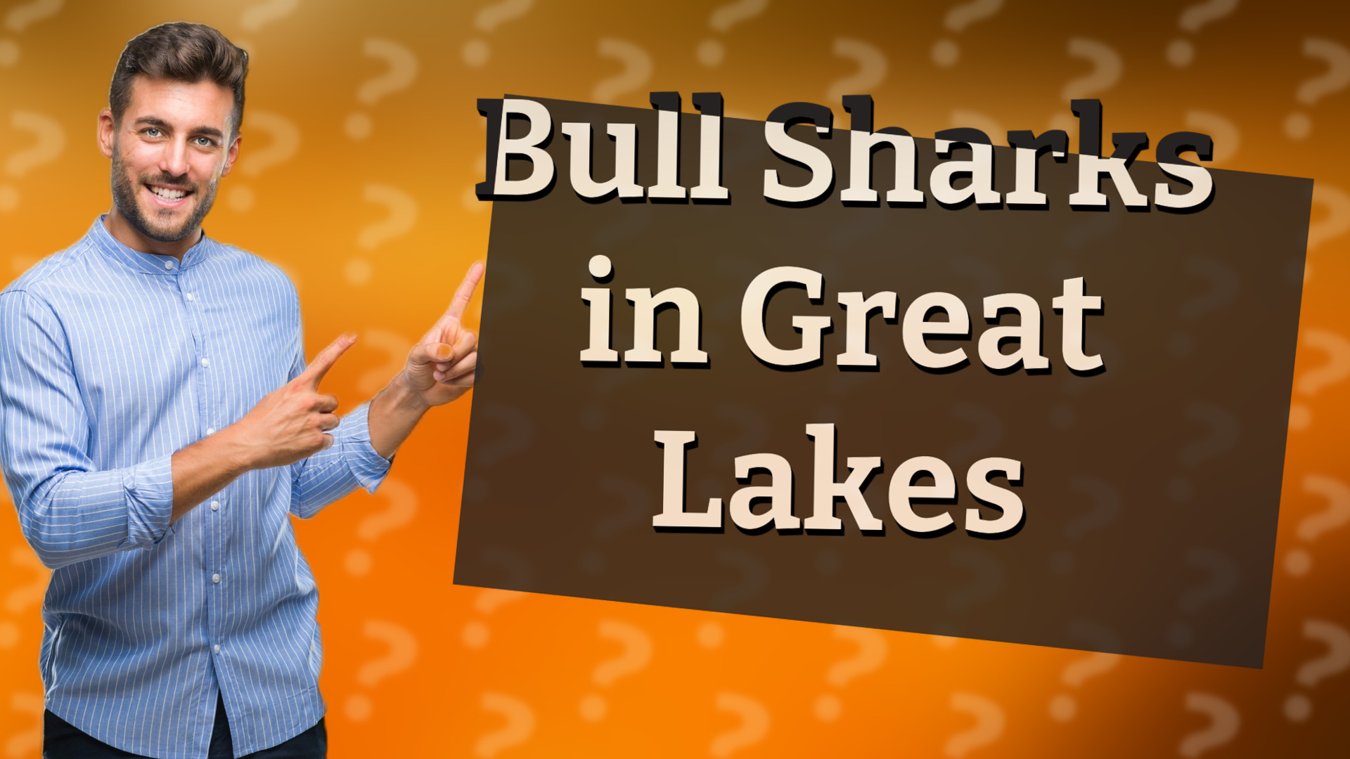 Bull Sharks in Great Lakes