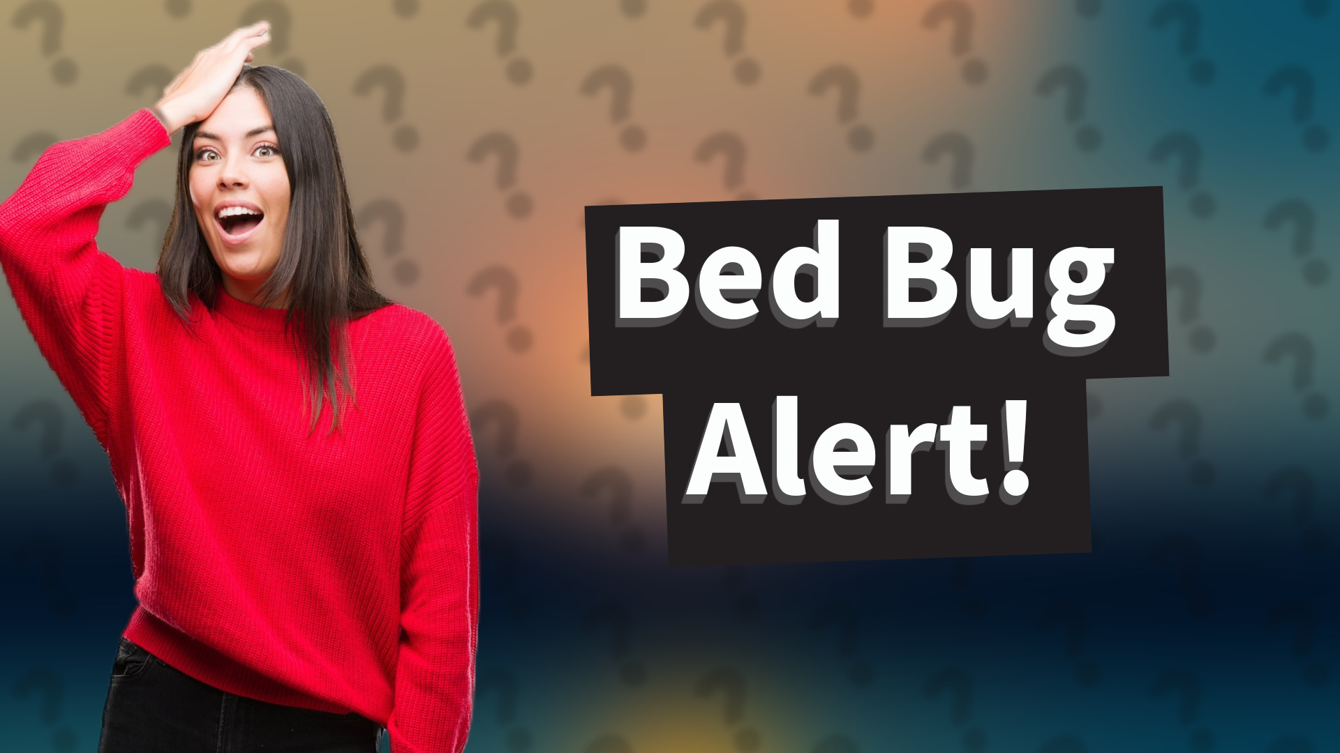 Bed Bug Alert!