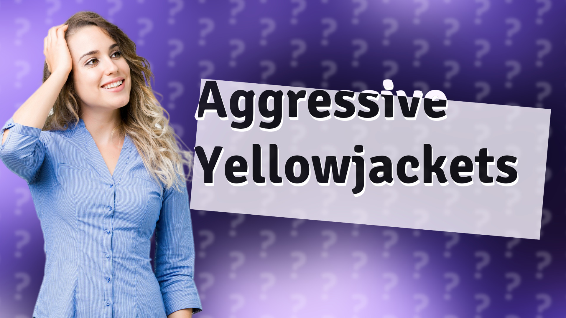 Aggressive Yellowjackets