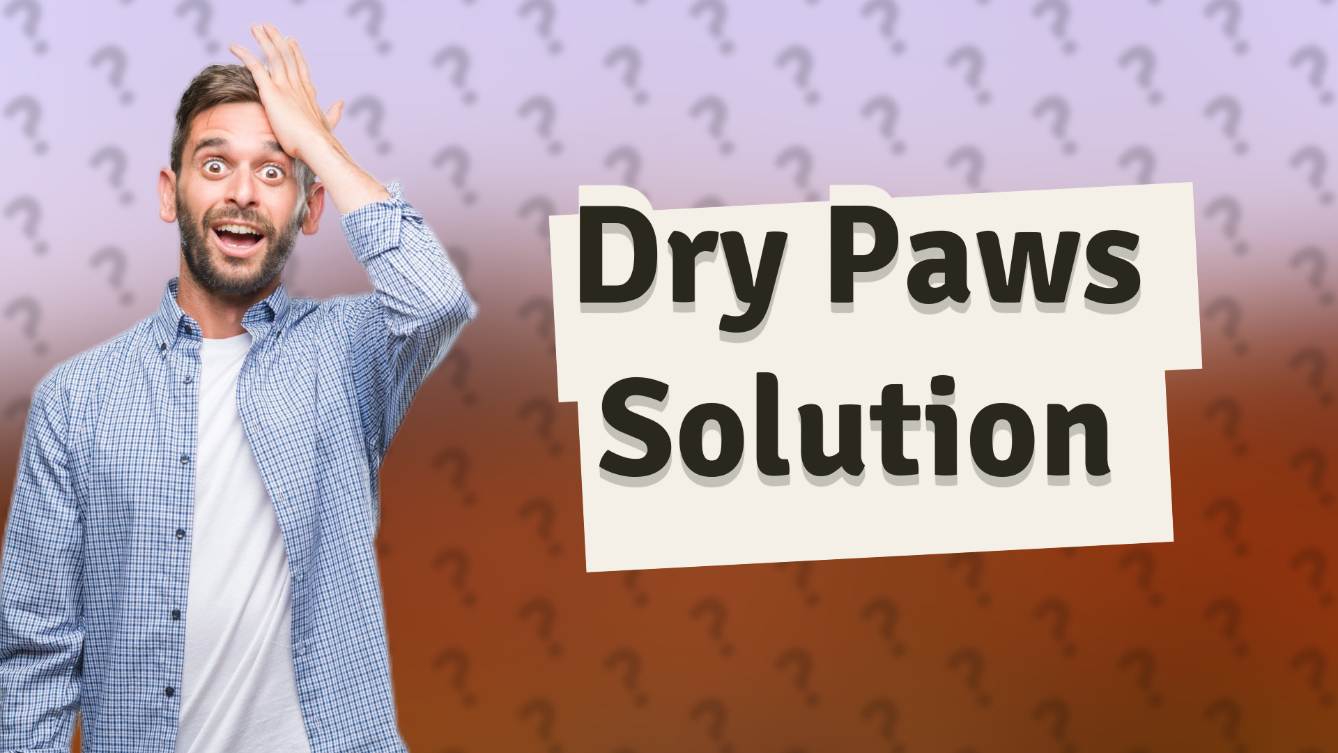Dry Paws Solution