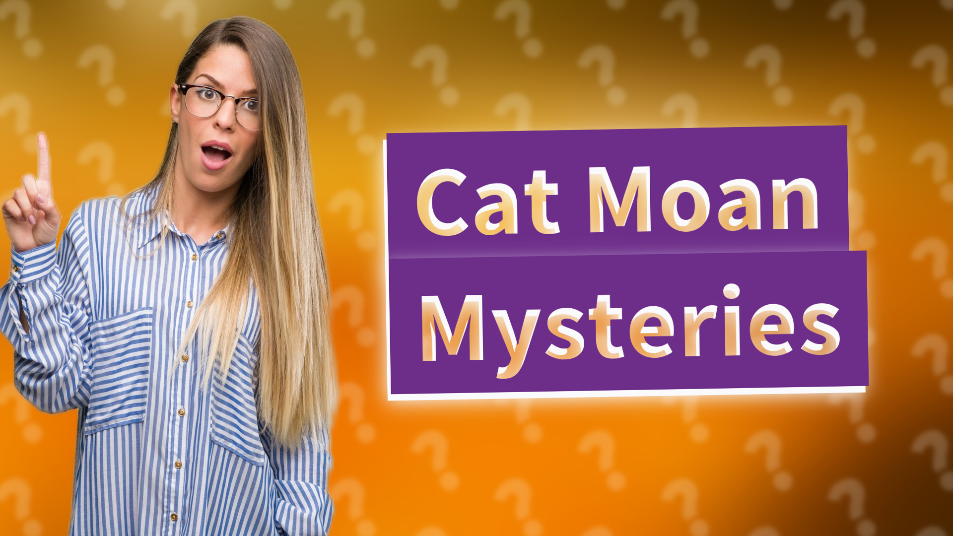 Cat Moan Mysteries