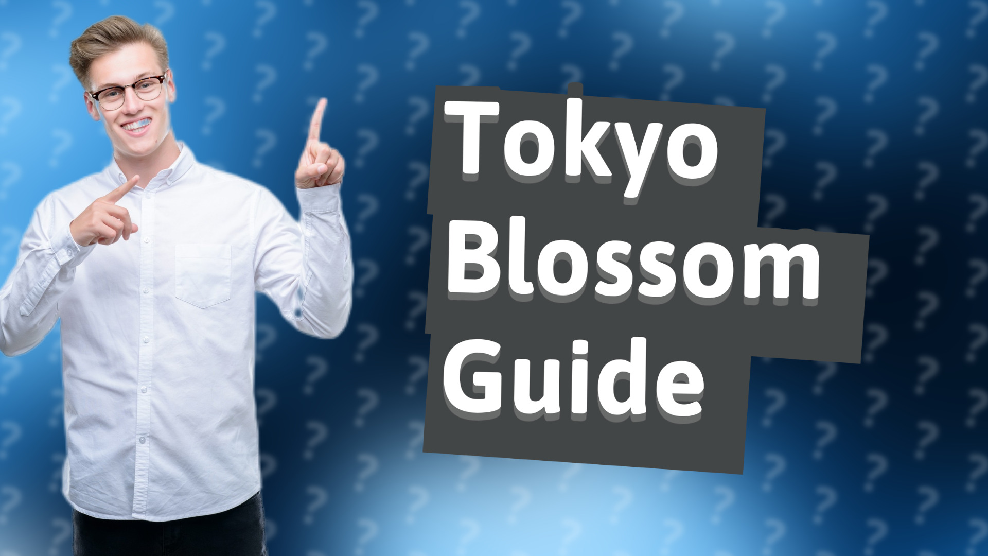 Tokyo Blossom Guide
