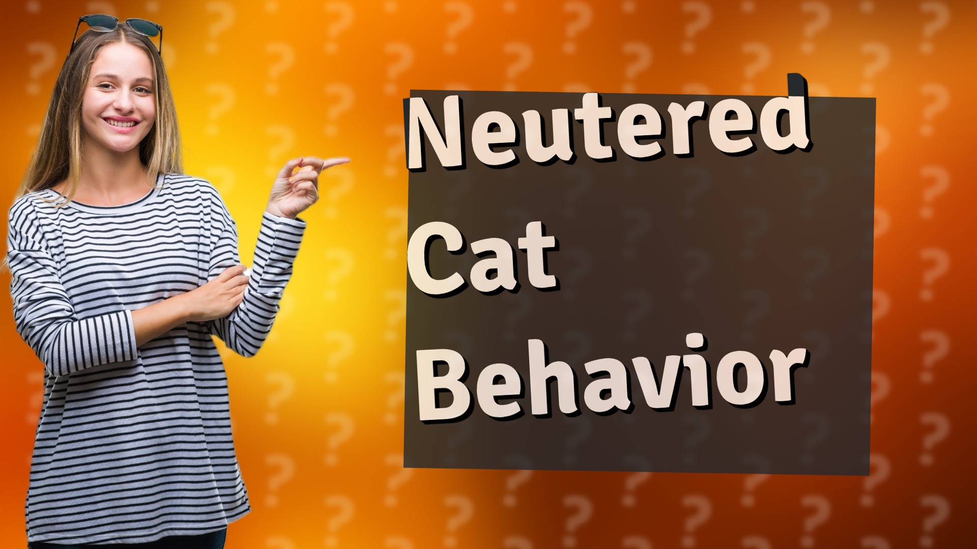 Neutered Cat Behavior