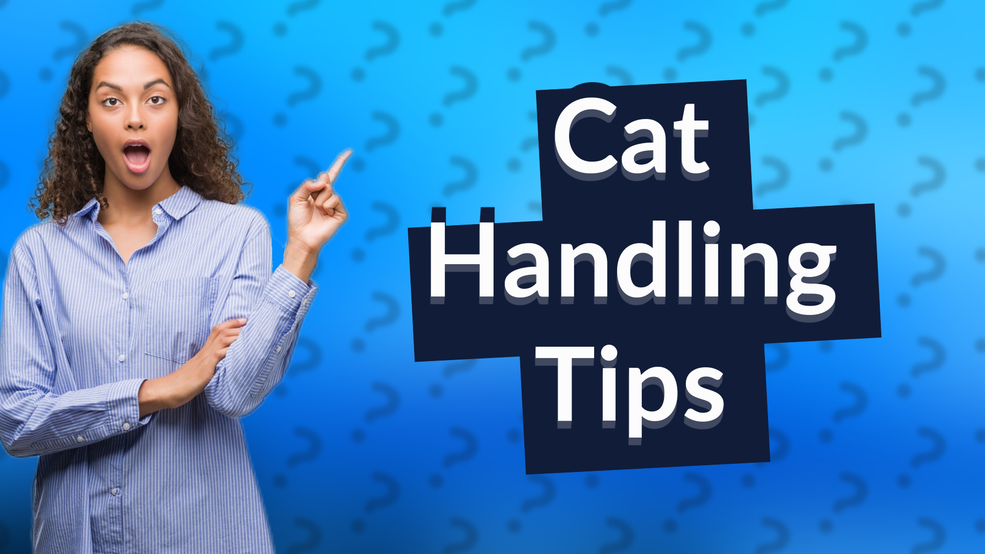 Cat Handling Tips