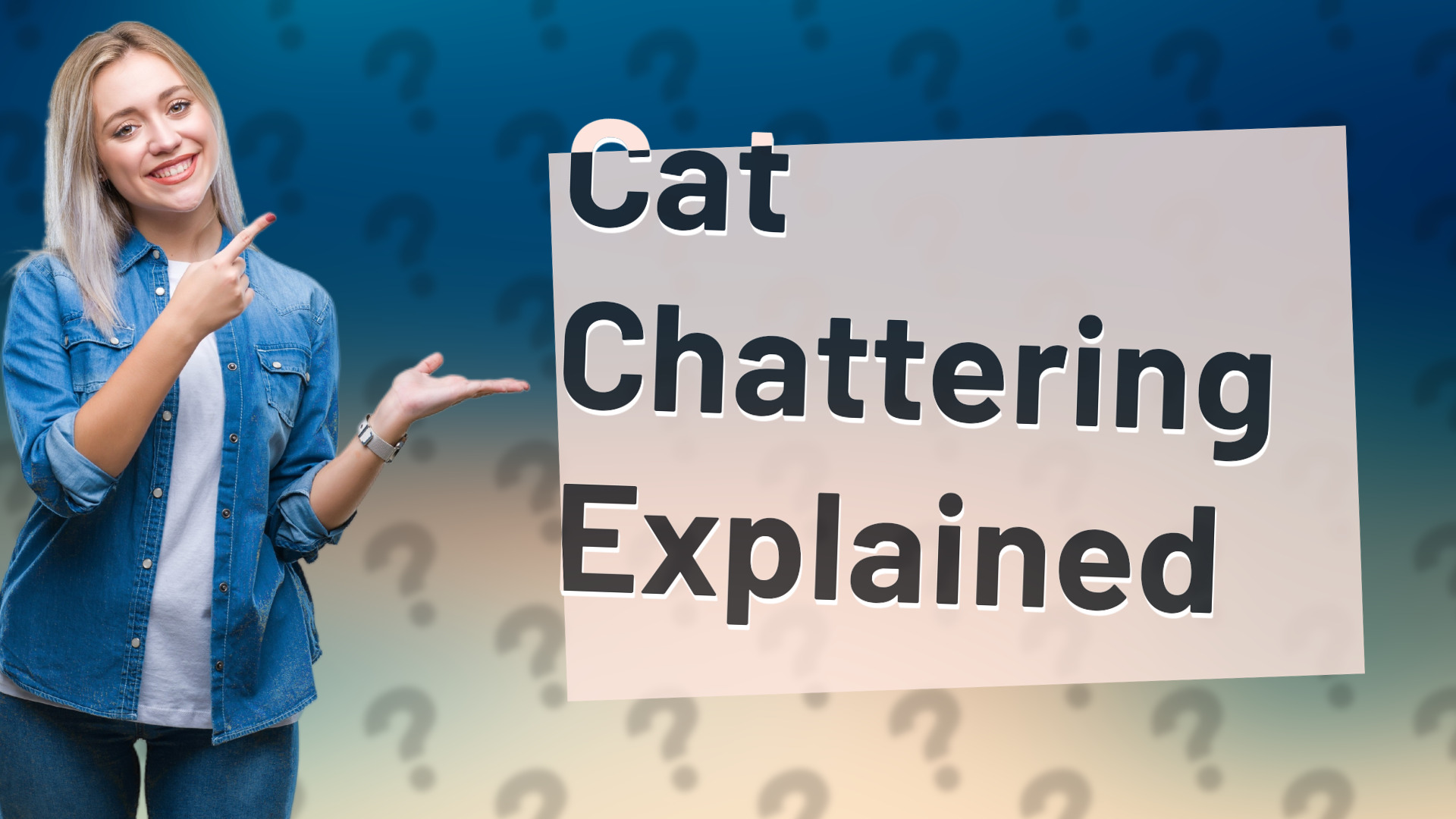 Cat Chattering Explained