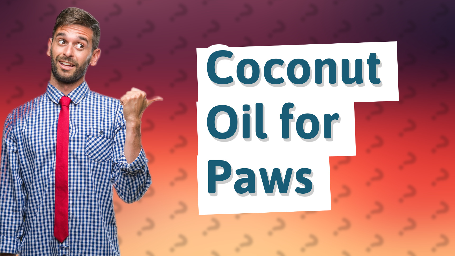 Coconut Oil for Paws