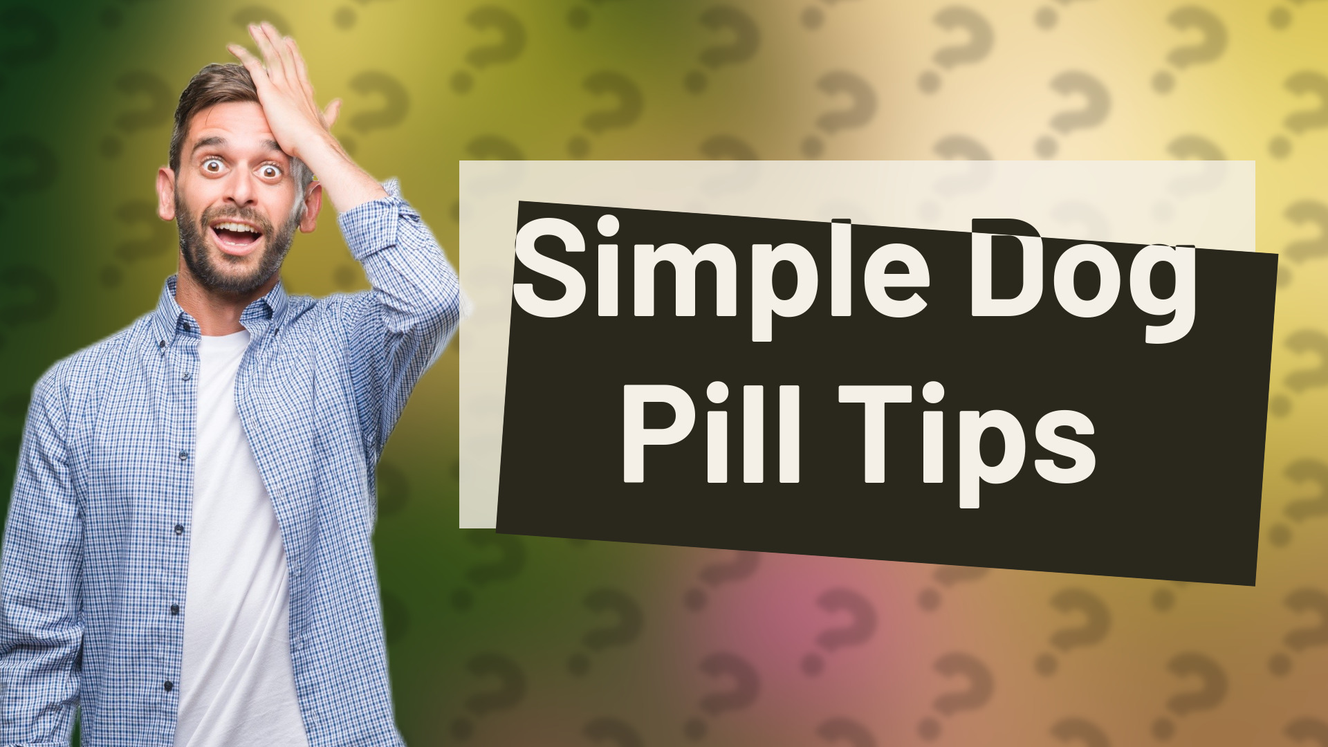 Simple Dog Pill Tips