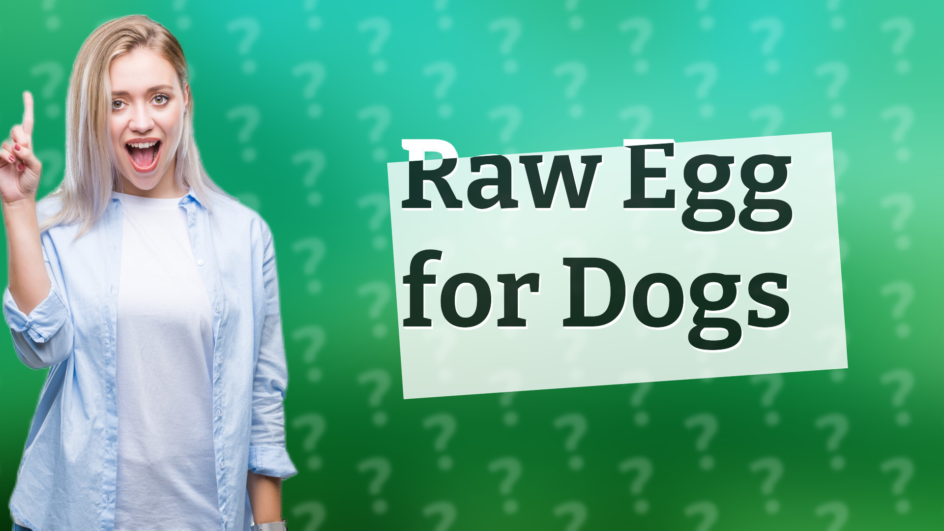 Raw Egg for Dogs