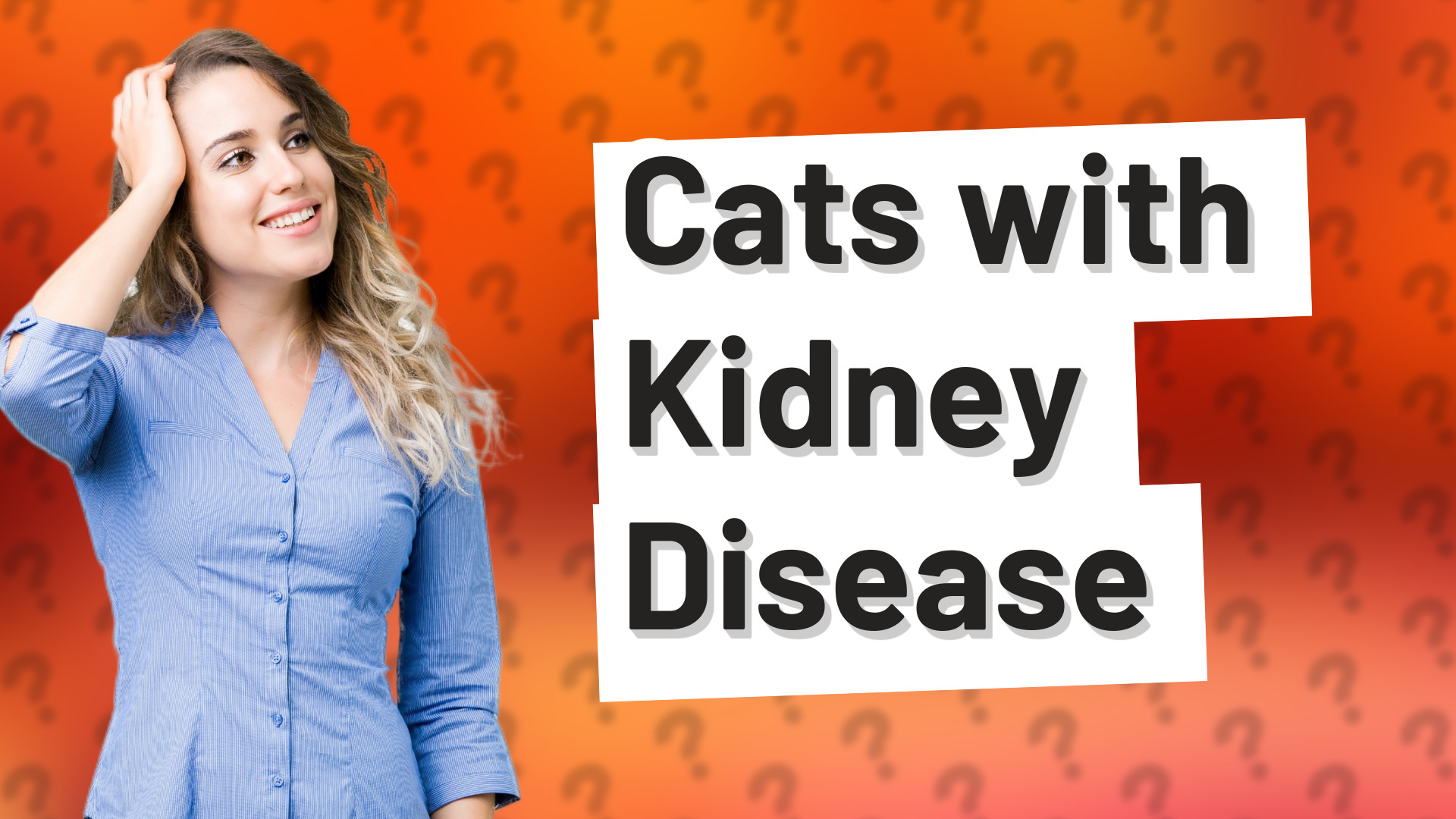 Cats with Kidney Disease