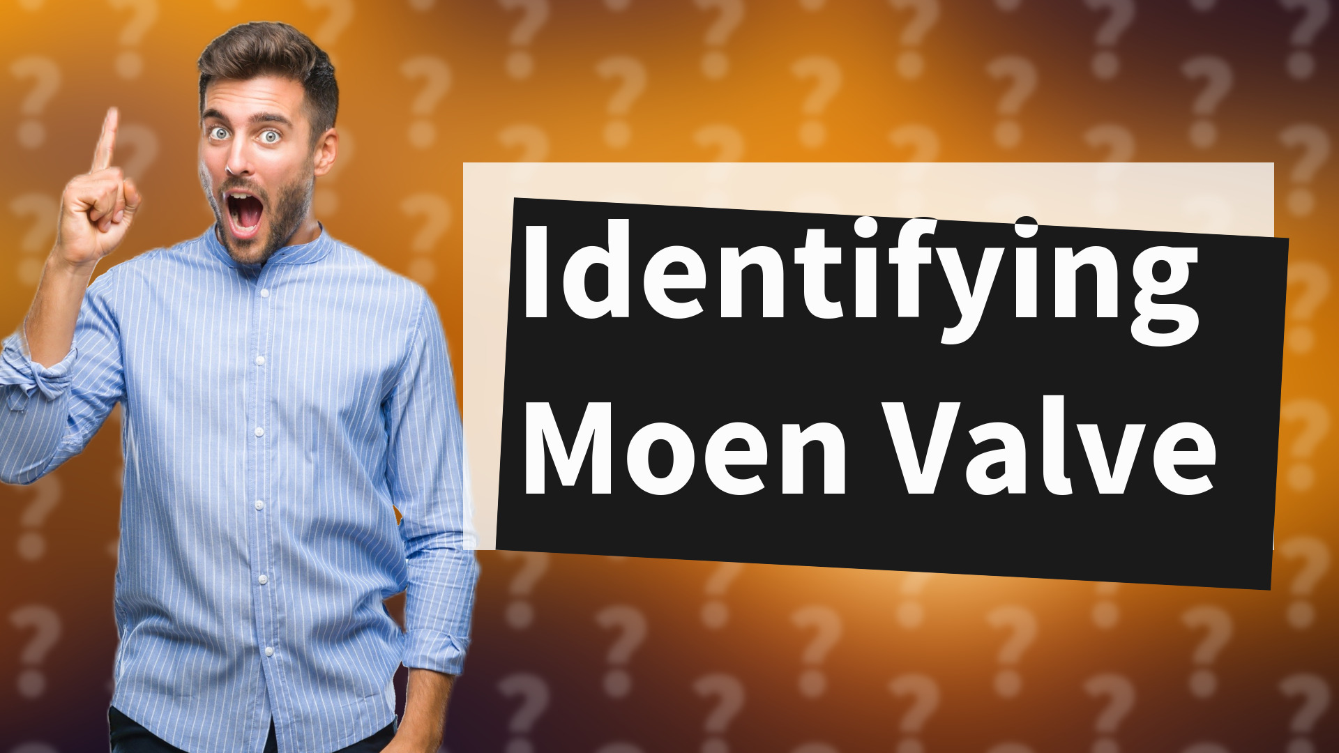 Identifying Moen Valve