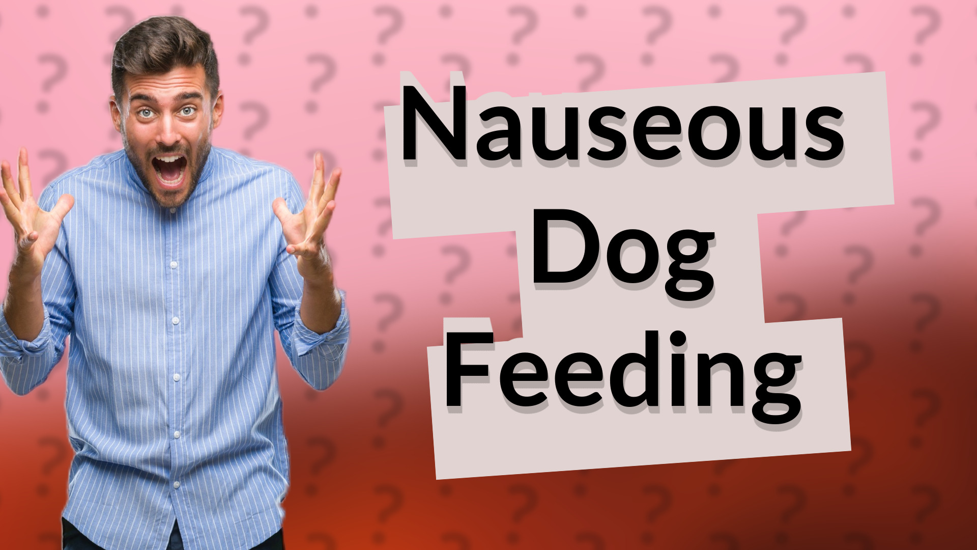 Nauseous Dog Feeding